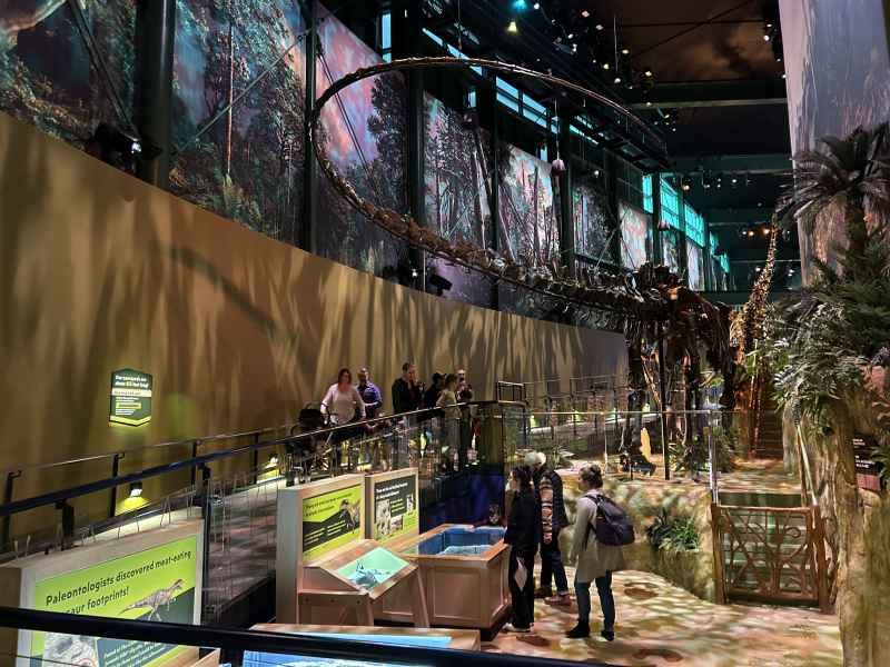 Dinosphere Rampway Lit By Abacus Surface Lights From Side