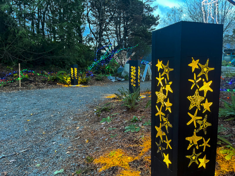Lit Bollards With Starfish Cutouts At Dusk By Multicolored Lights